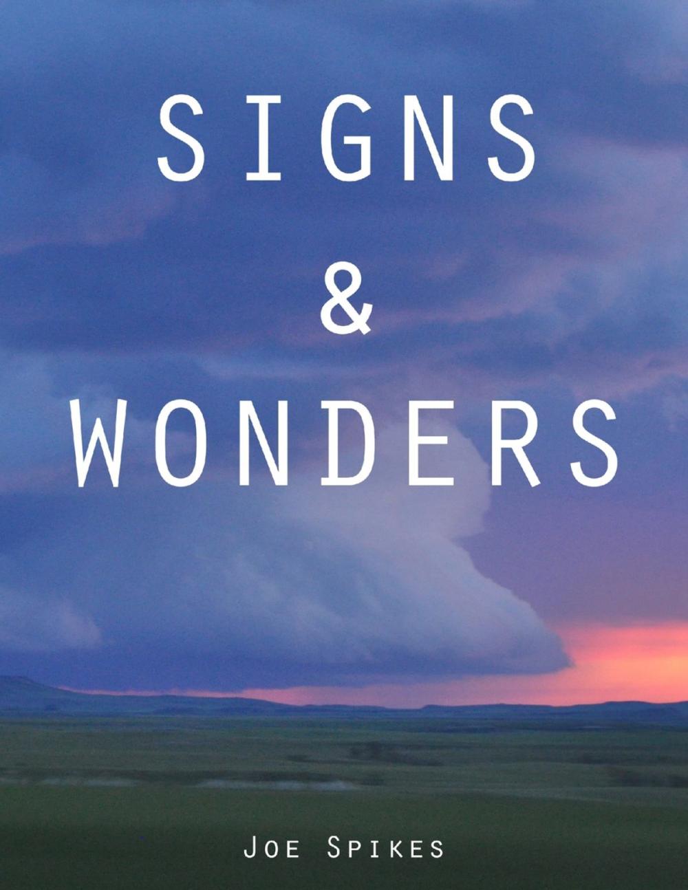 Big bigCover of Signs & Wonders