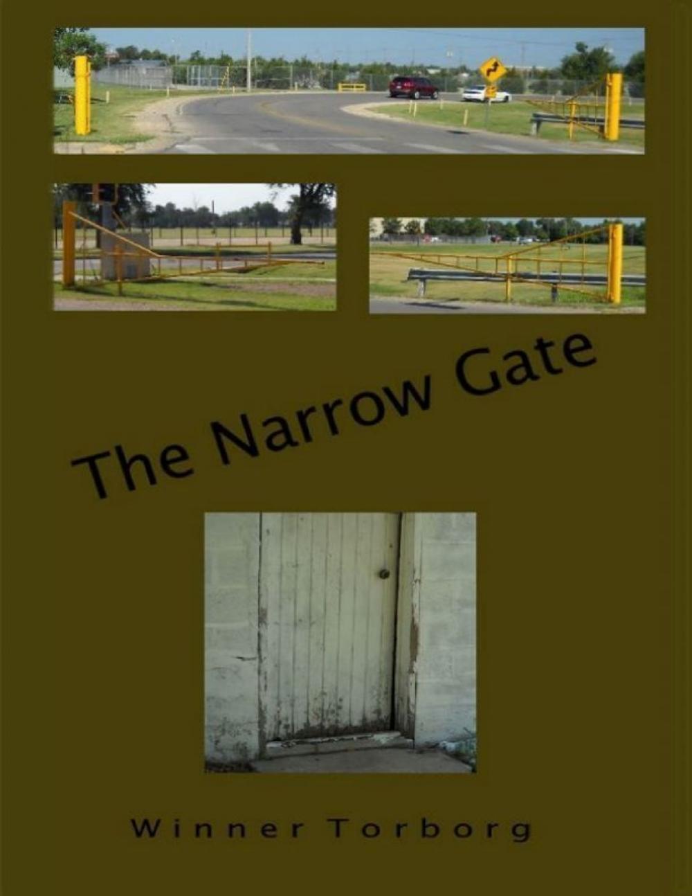 Big bigCover of The Narrow Gate