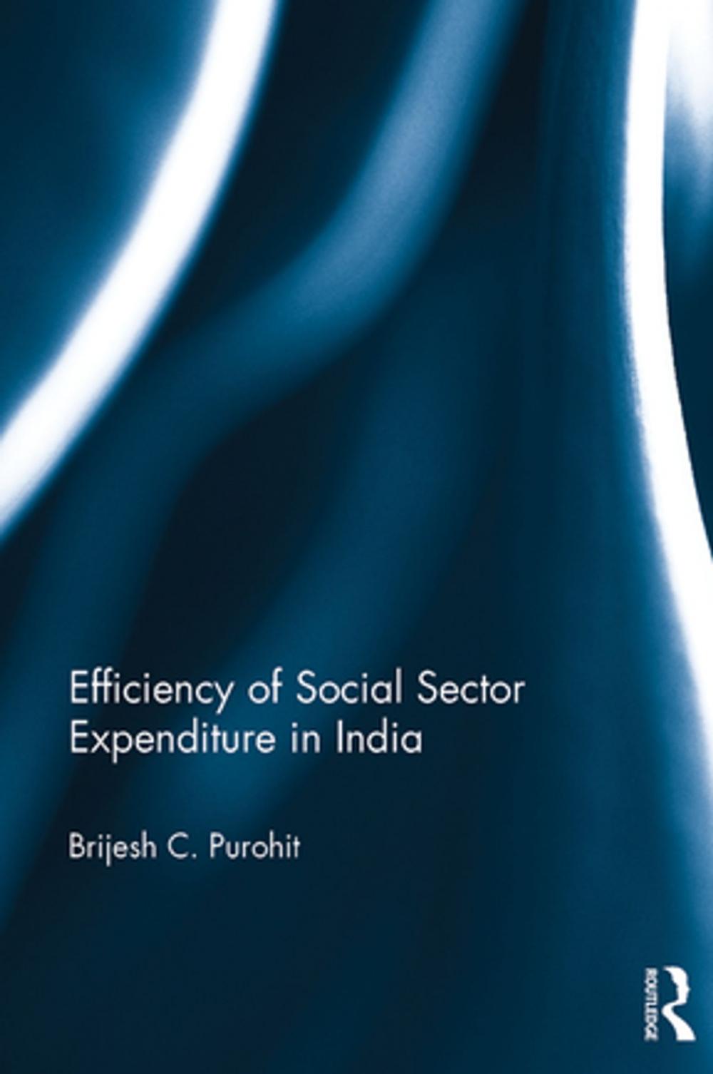 Big bigCover of Efficiency of Social Sector Expenditure in India