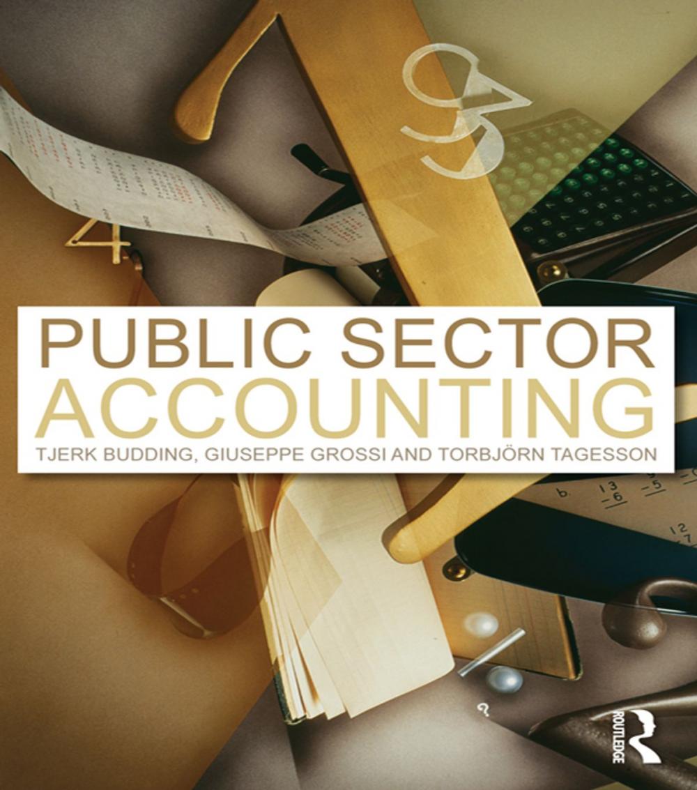 Big bigCover of Public Sector Accounting