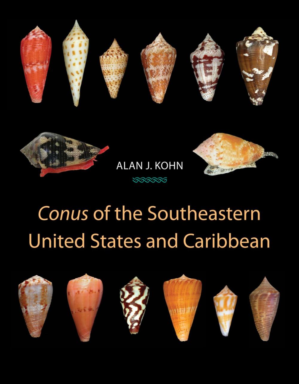 Big bigCover of Conus of the Southeastern United States and Caribbean