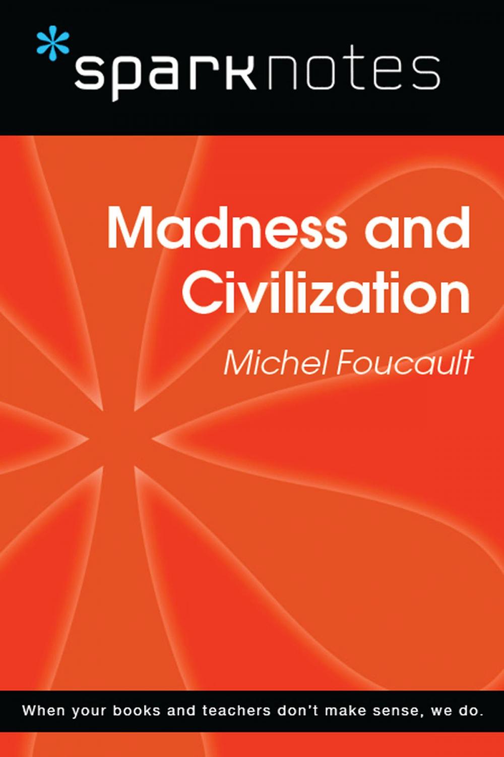 Big bigCover of Madness and Civilization (SparkNotes Philosophy Guide)