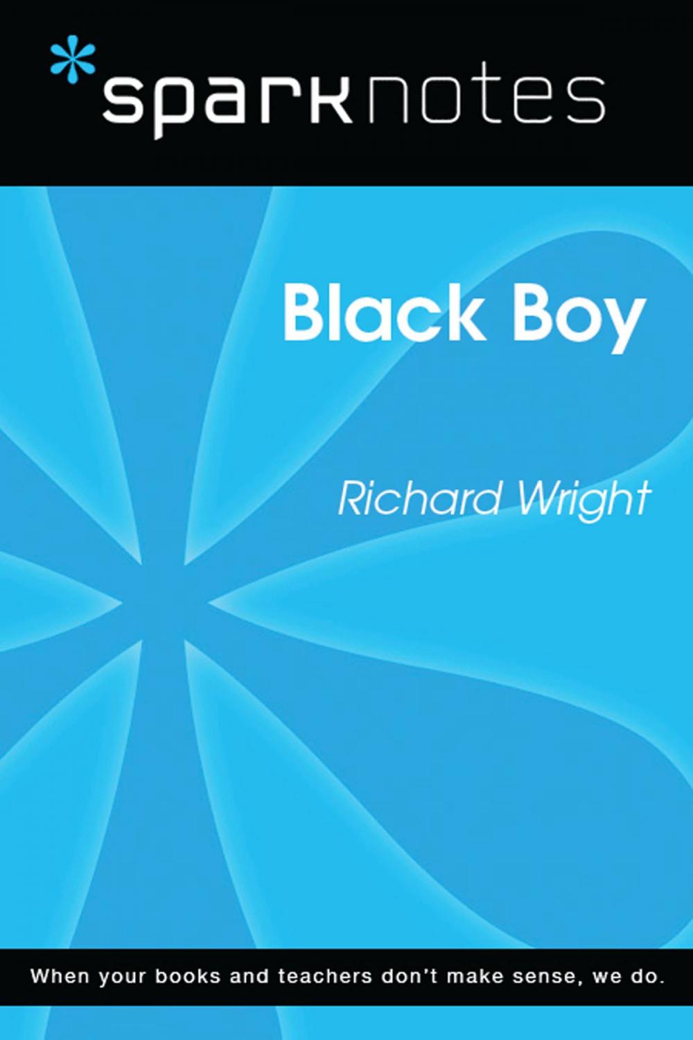 Big bigCover of Black Boy (SparkNotes Literature Guide)