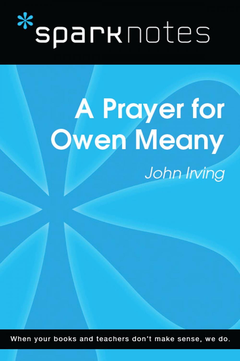 Big bigCover of A Prayer for Owen Meany (SparkNotes Literature Guide)