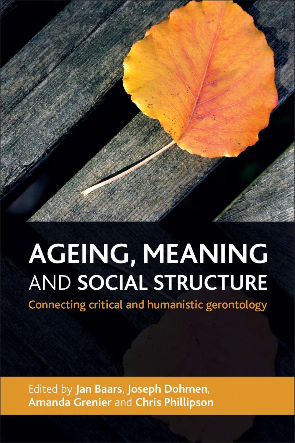 Big bigCover of Ageing, meaning and social structure