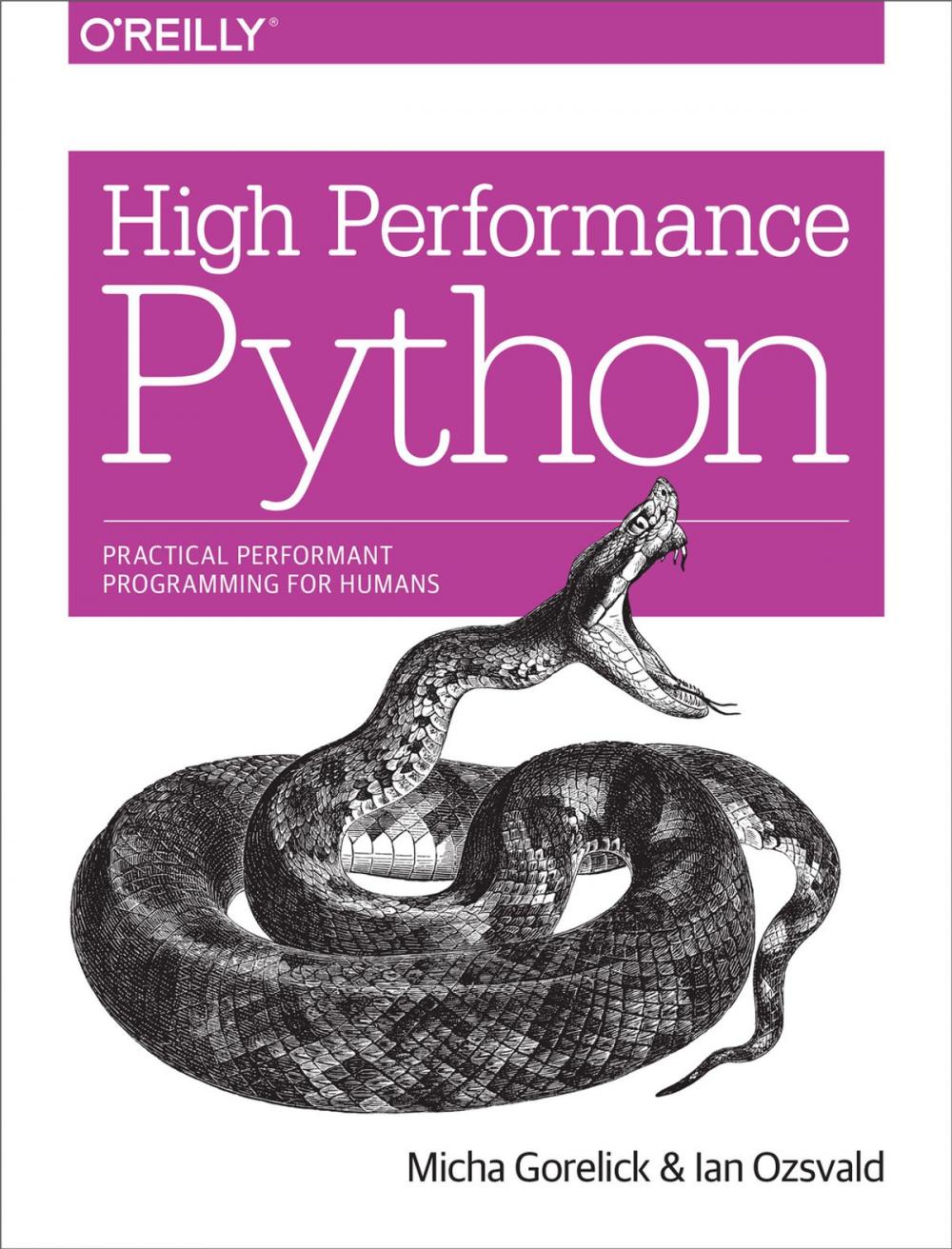 Big bigCover of High Performance Python