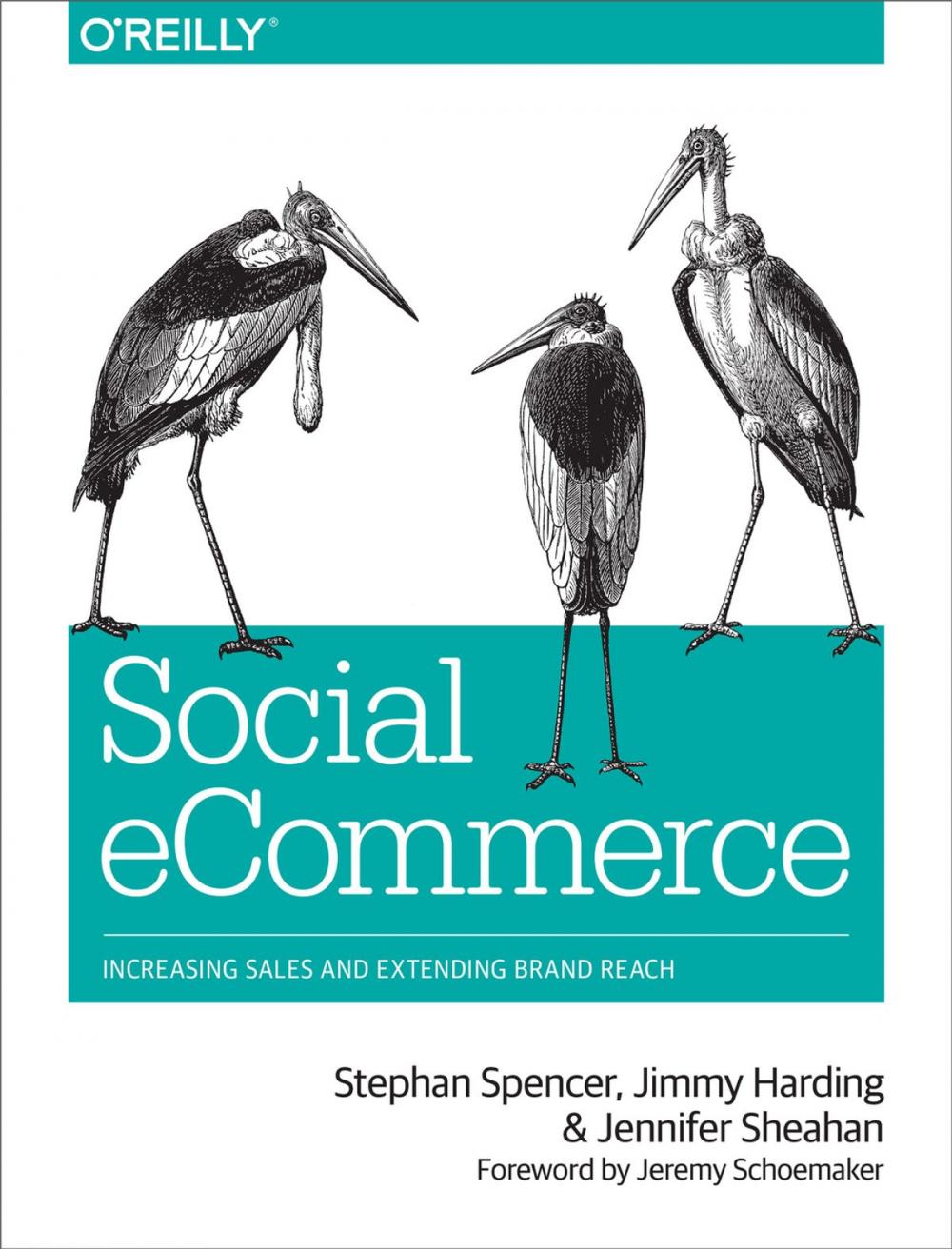 Big bigCover of Social eCommerce