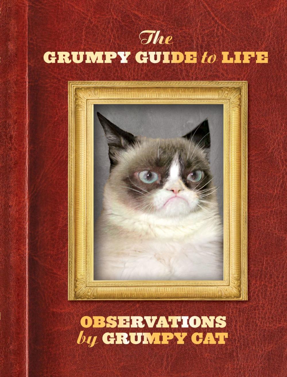 Big bigCover of The Grumpy Guide to Life