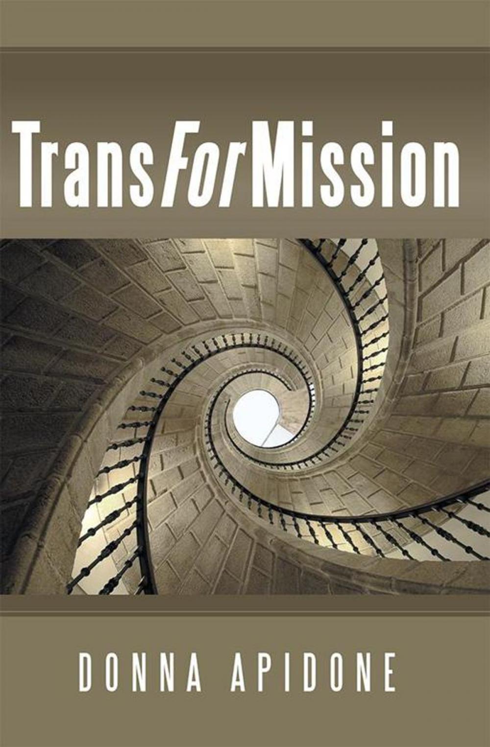 Big bigCover of Transformission