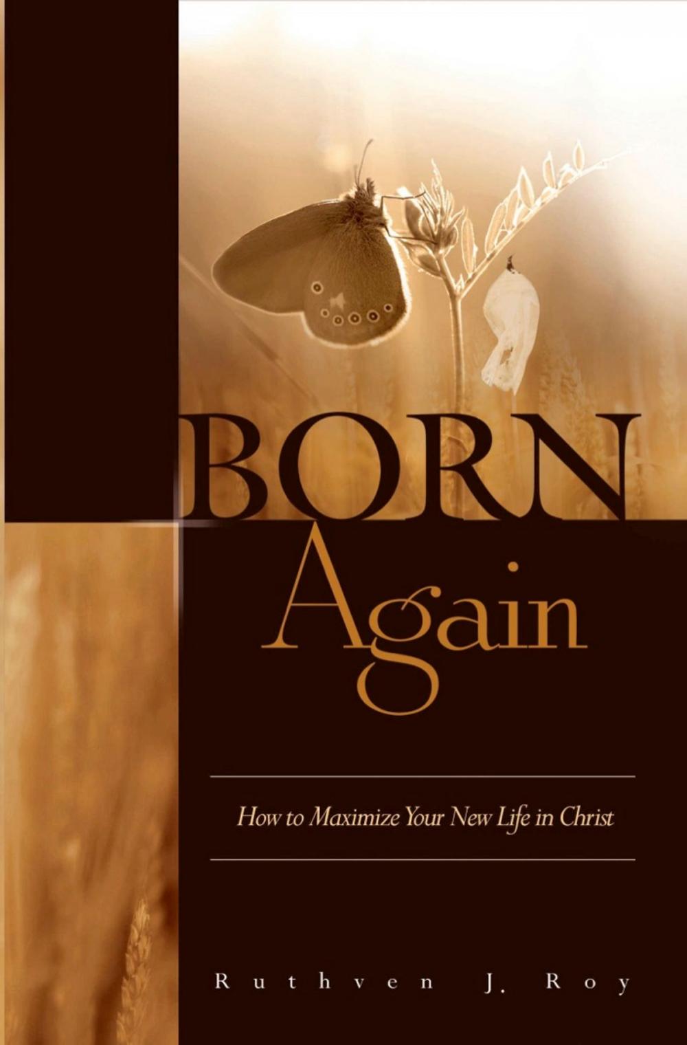 Big bigCover of Born Again: How to Maximize Your New Life In Christ