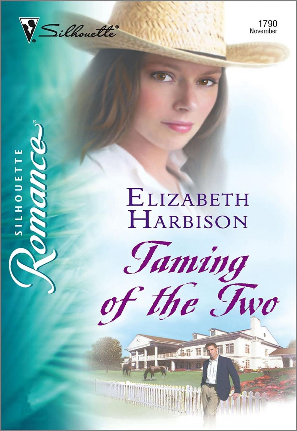 Big bigCover of Taming of the Two