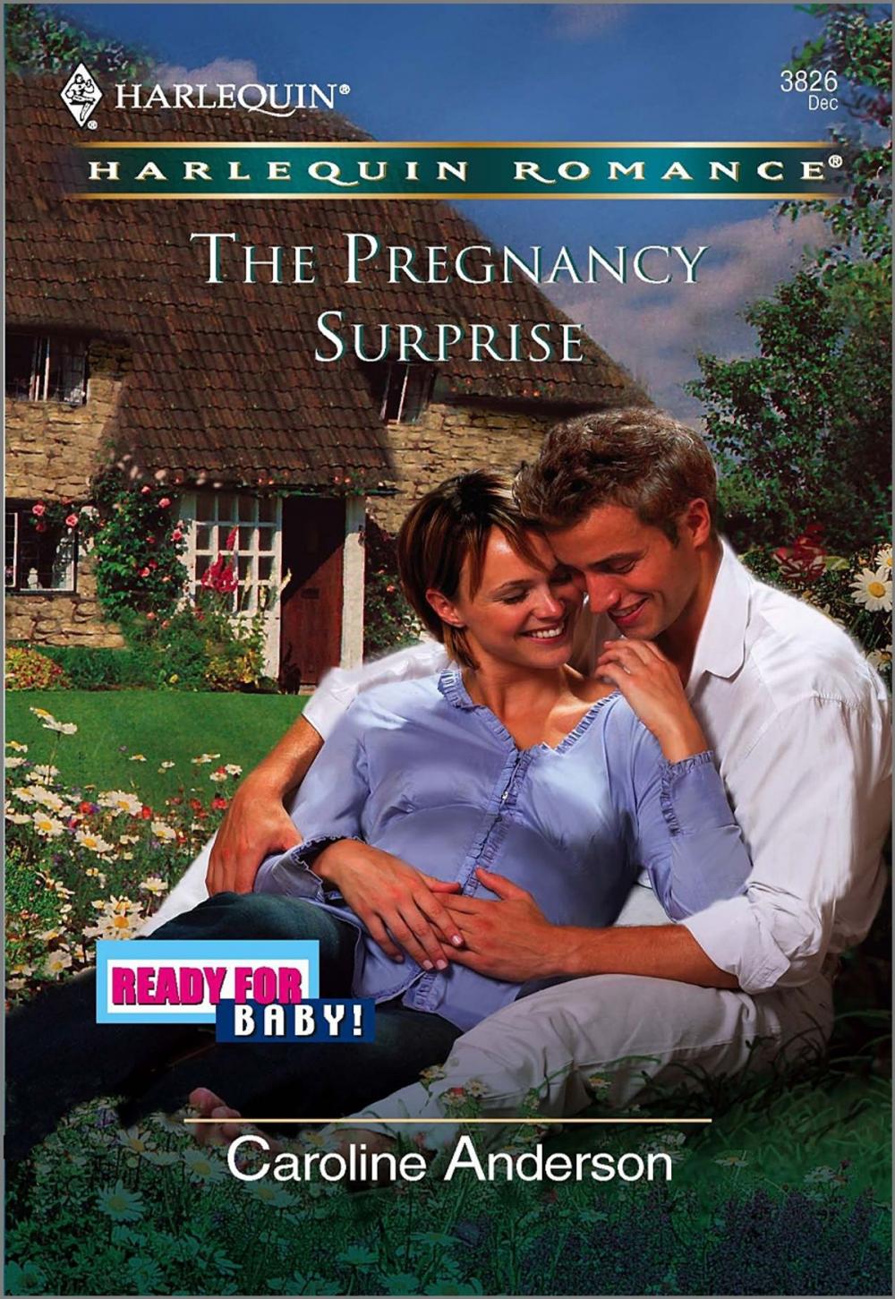 Big bigCover of The Pregnancy Surprise