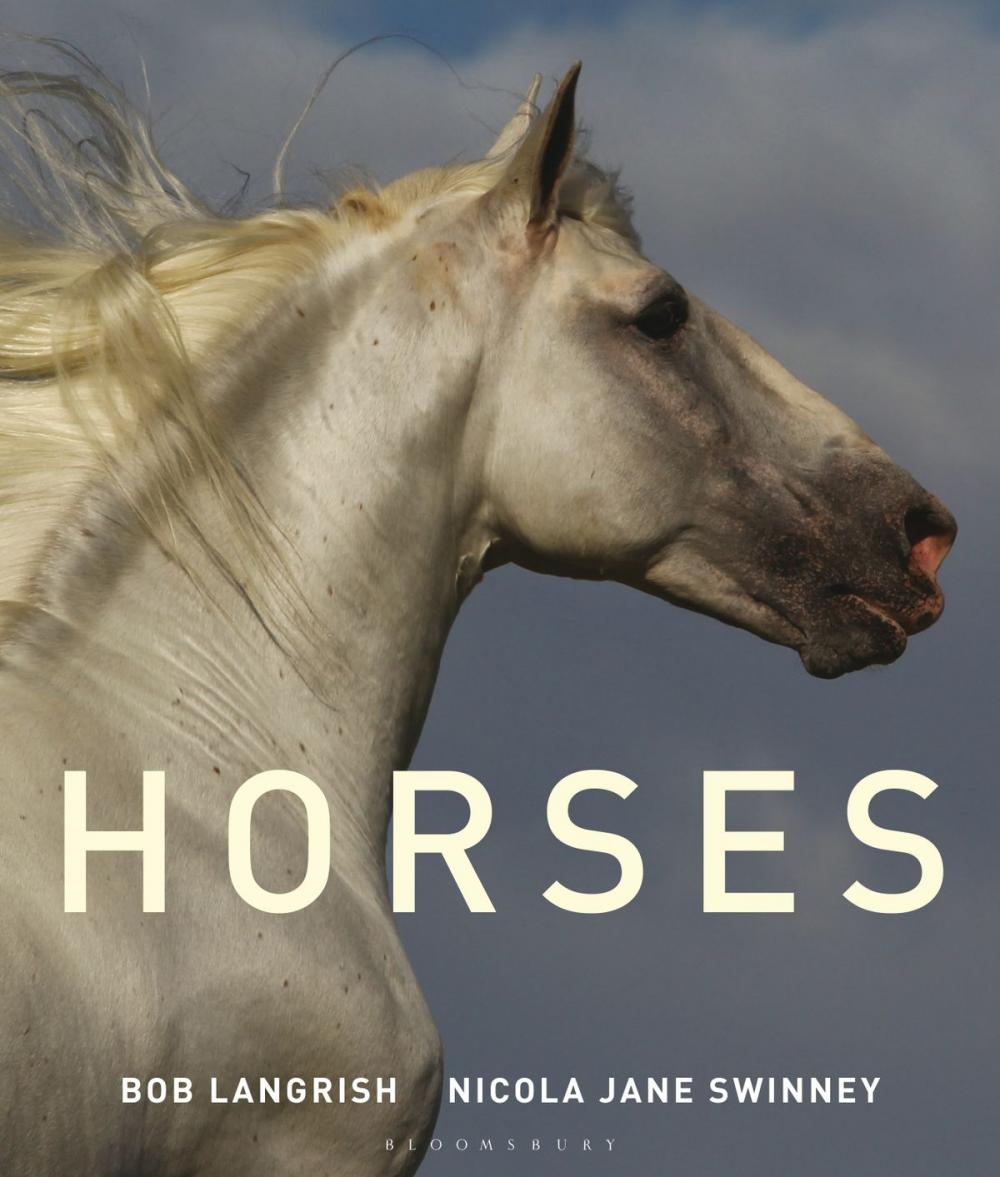 Big bigCover of Horses