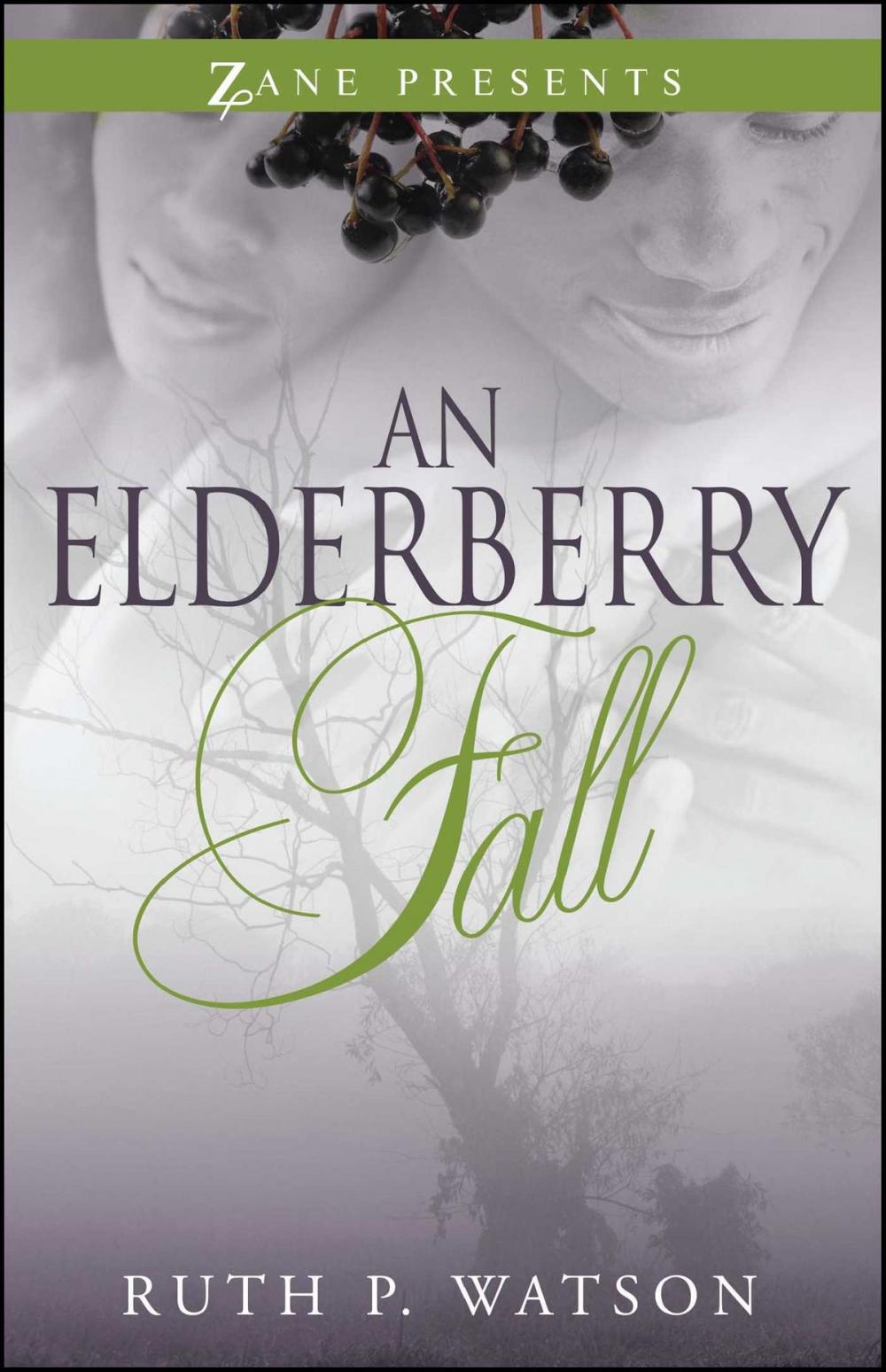 Big bigCover of An Elderberry Fall