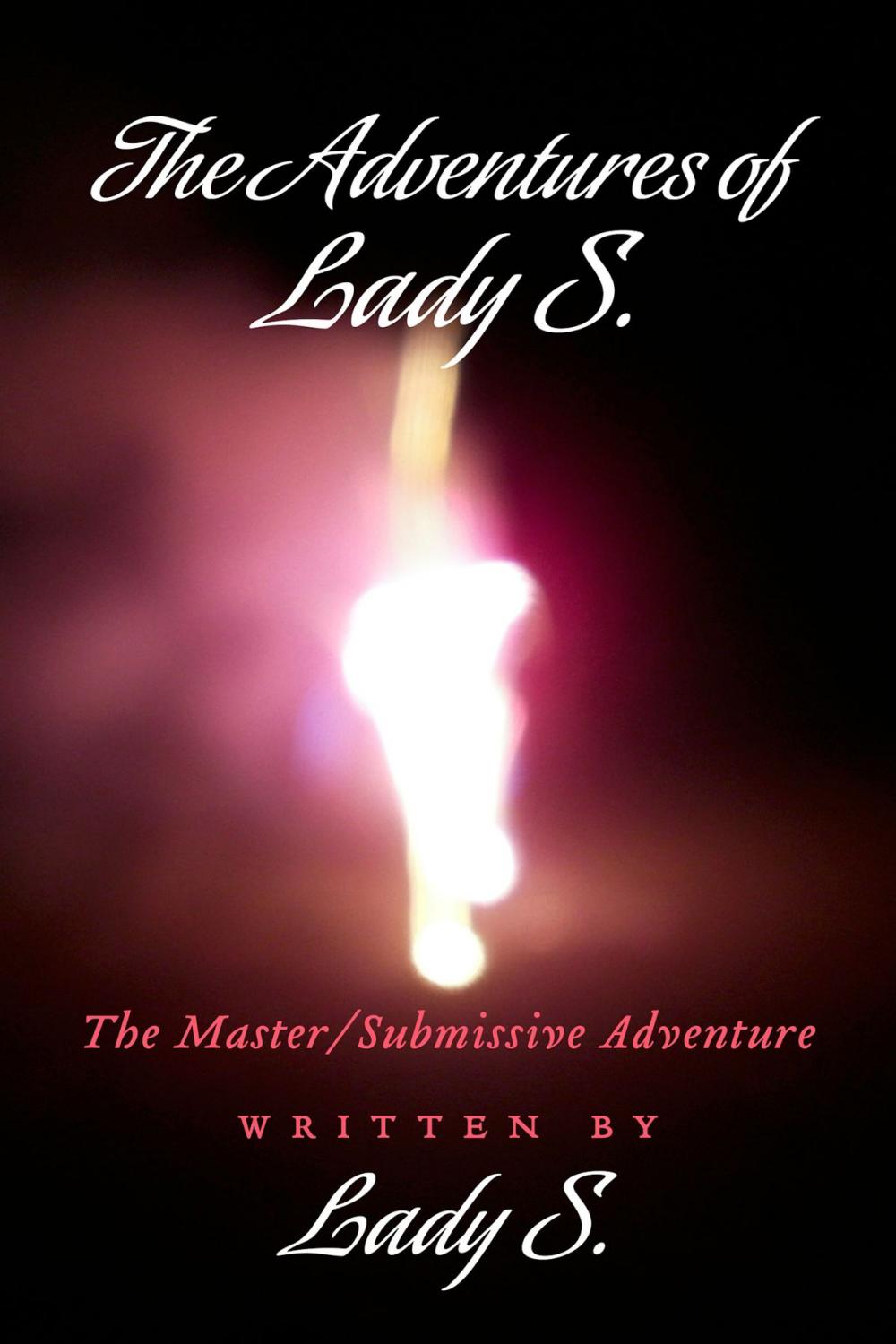 Big bigCover of The Adventures of Lady S.