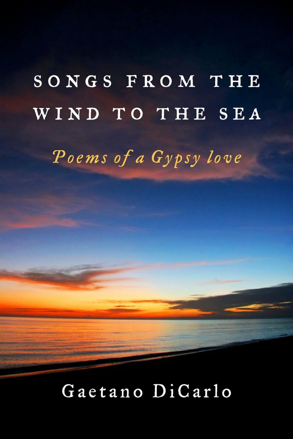 Big bigCover of Songs from the Wind to the Sea