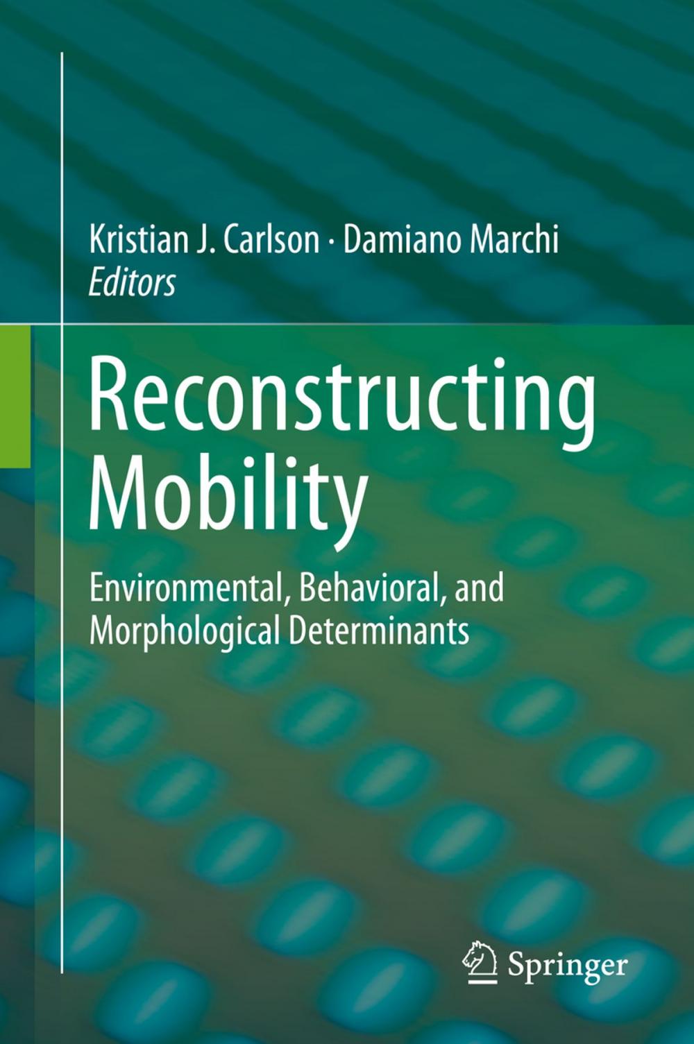 Big bigCover of Reconstructing Mobility