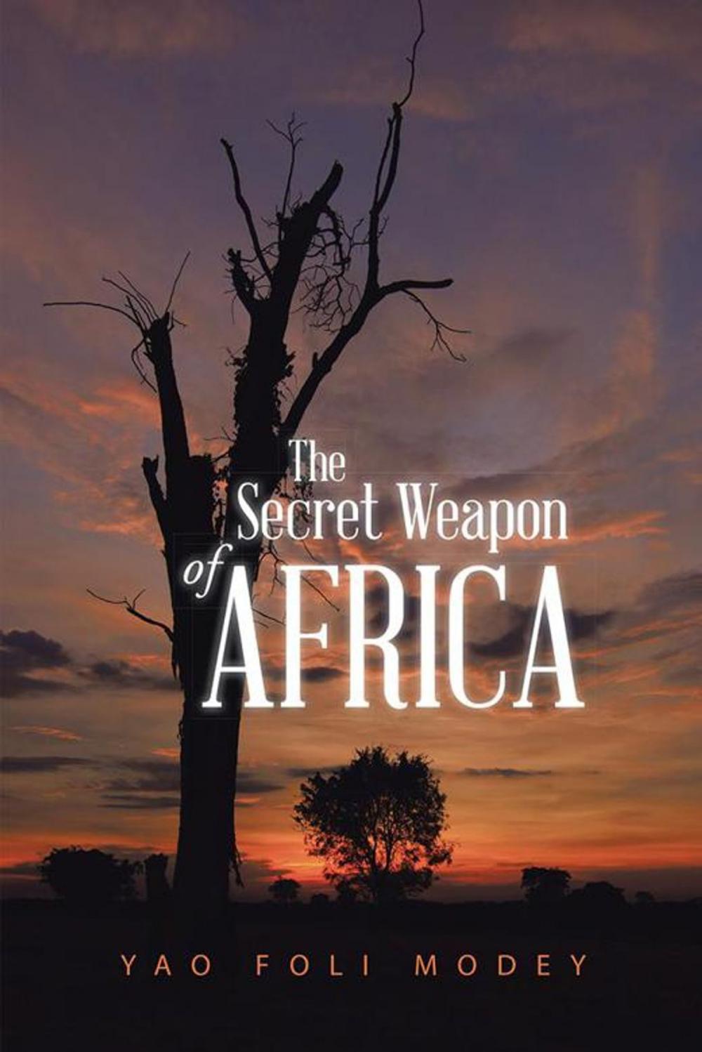 Big bigCover of The Secret Weapon of Africa