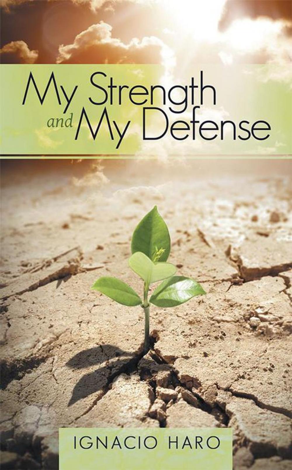 Big bigCover of My Strength and My Defense