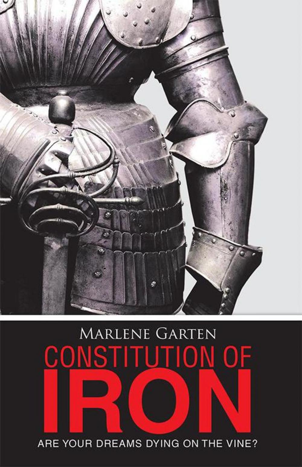 Big bigCover of Constitution of Iron