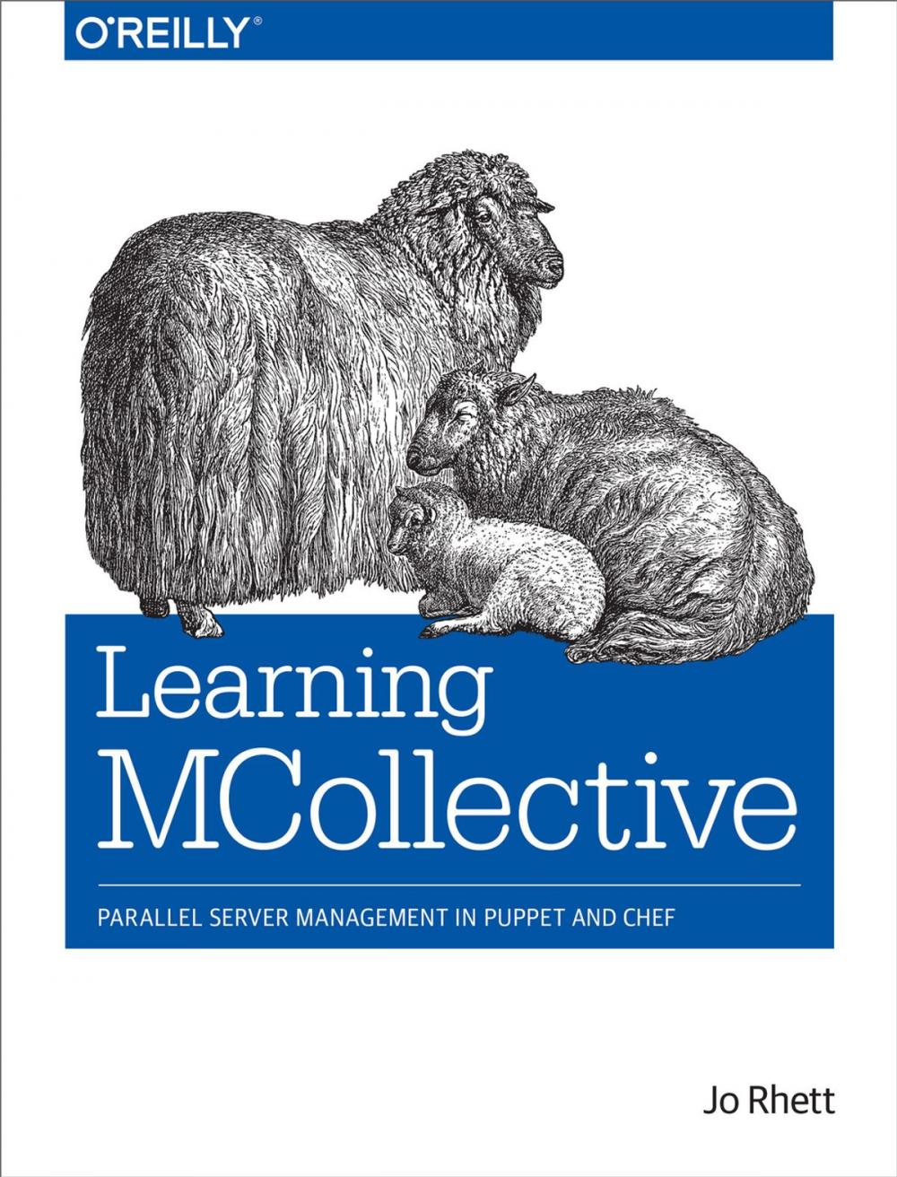 Big bigCover of Learning MCollective