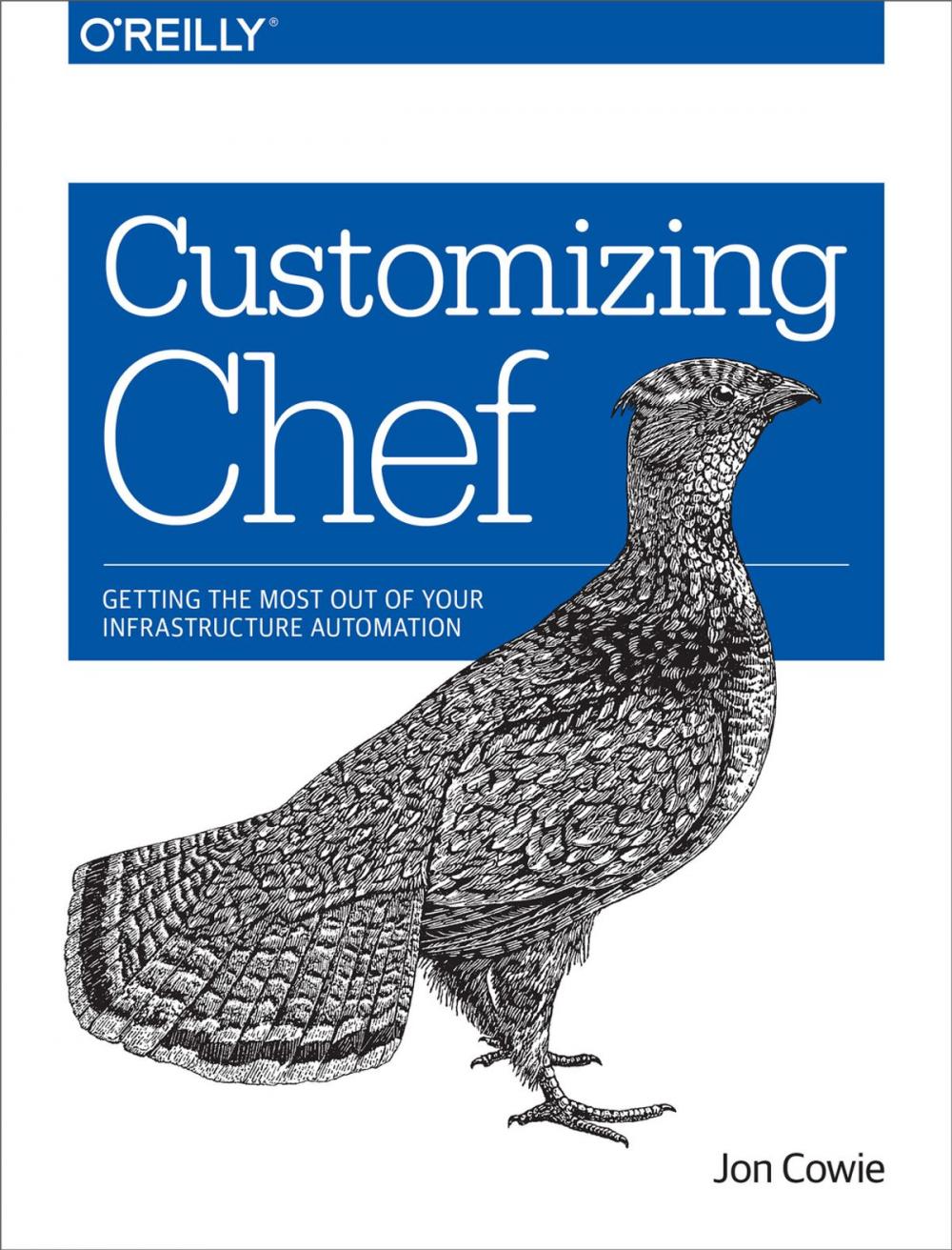 Big bigCover of Customizing Chef