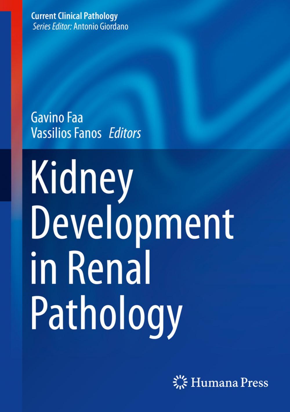 Big bigCover of Kidney Development in Renal Pathology