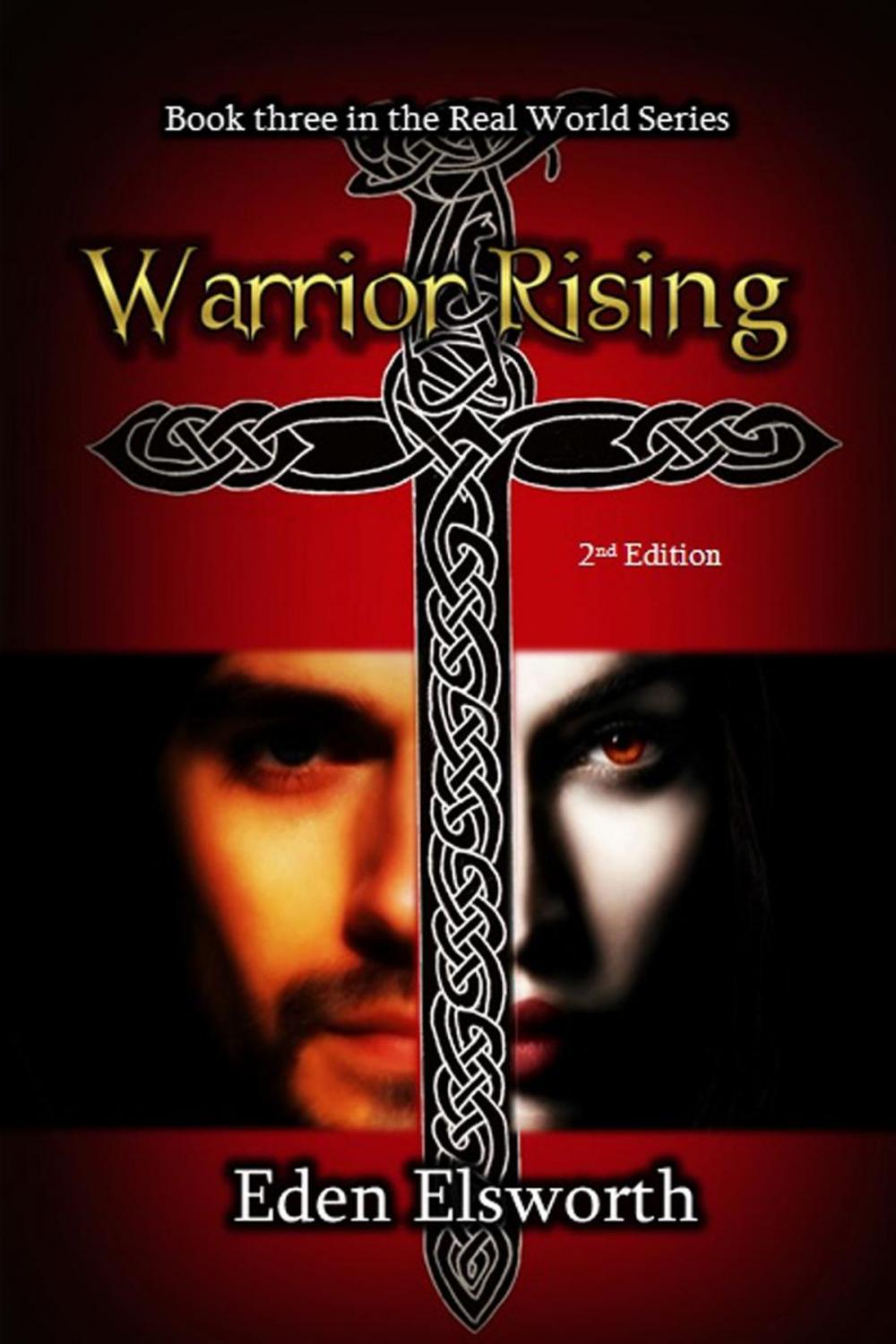 Big bigCover of Warrior Rising