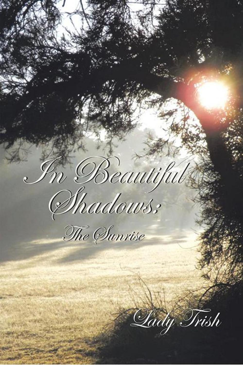 Big bigCover of In Beautiful Shadows: