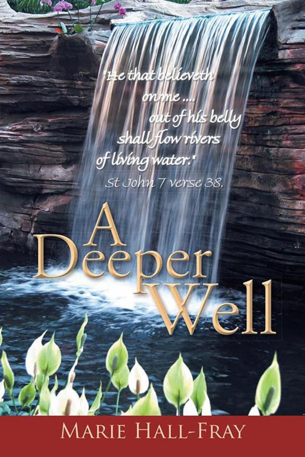 Big bigCover of A Deeper Well