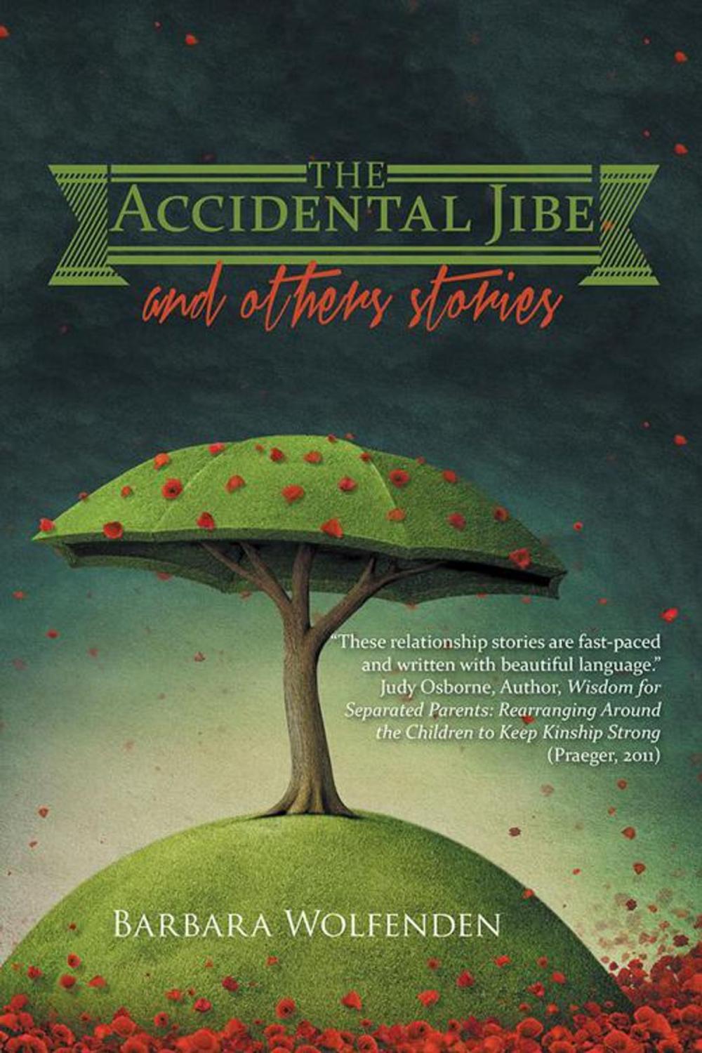 Big bigCover of The Accidental Jibe and Other Stories