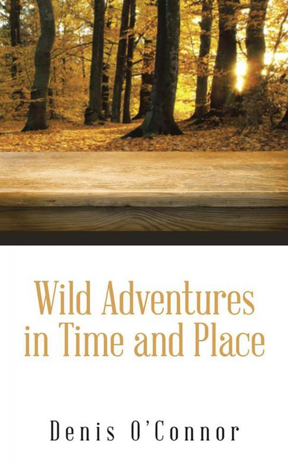 Big bigCover of Wild Adventures in Time and Place