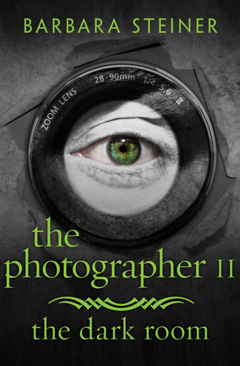 Big bigCover of The Photographer II