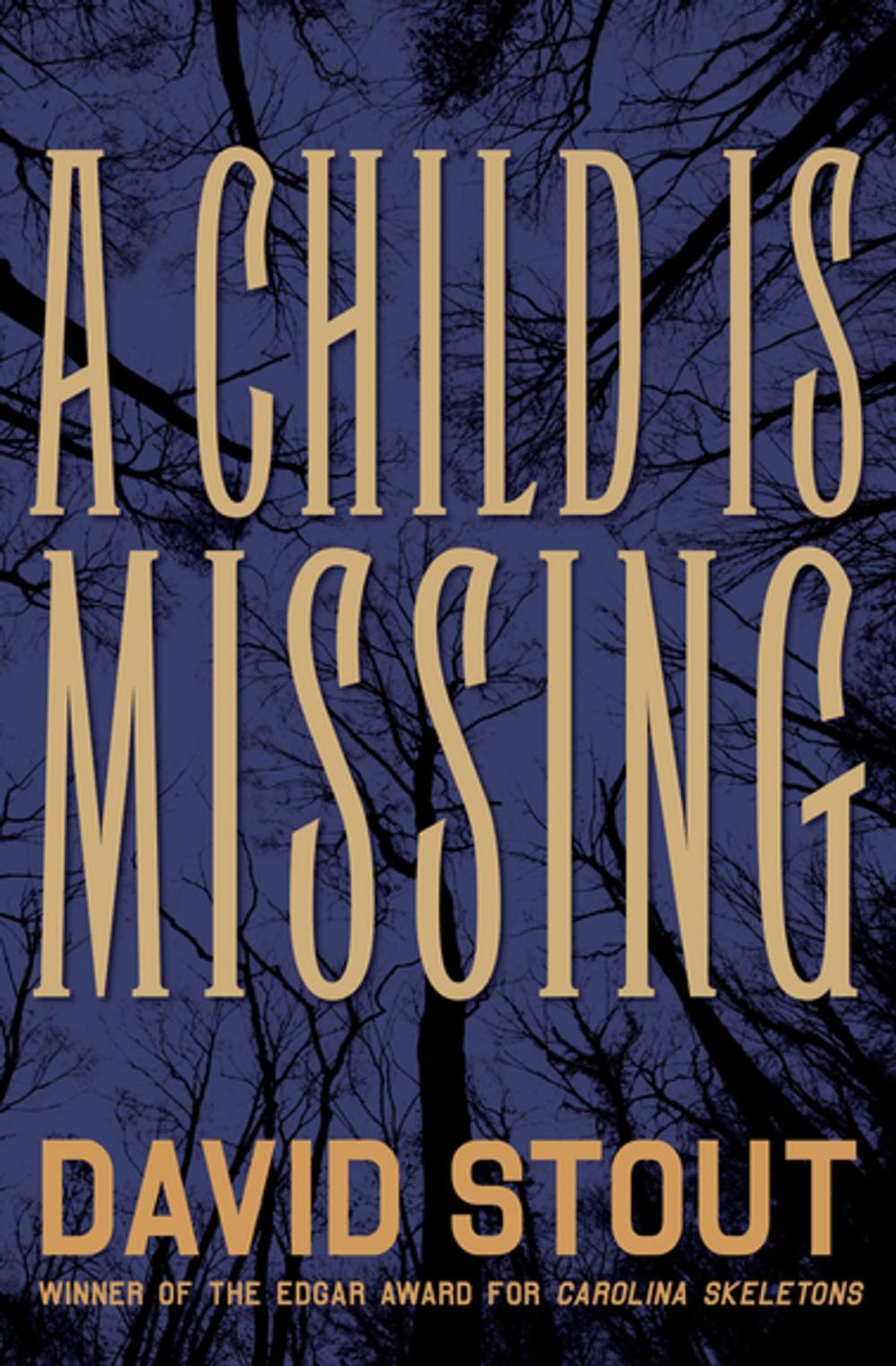 Big bigCover of A Child Is Missing