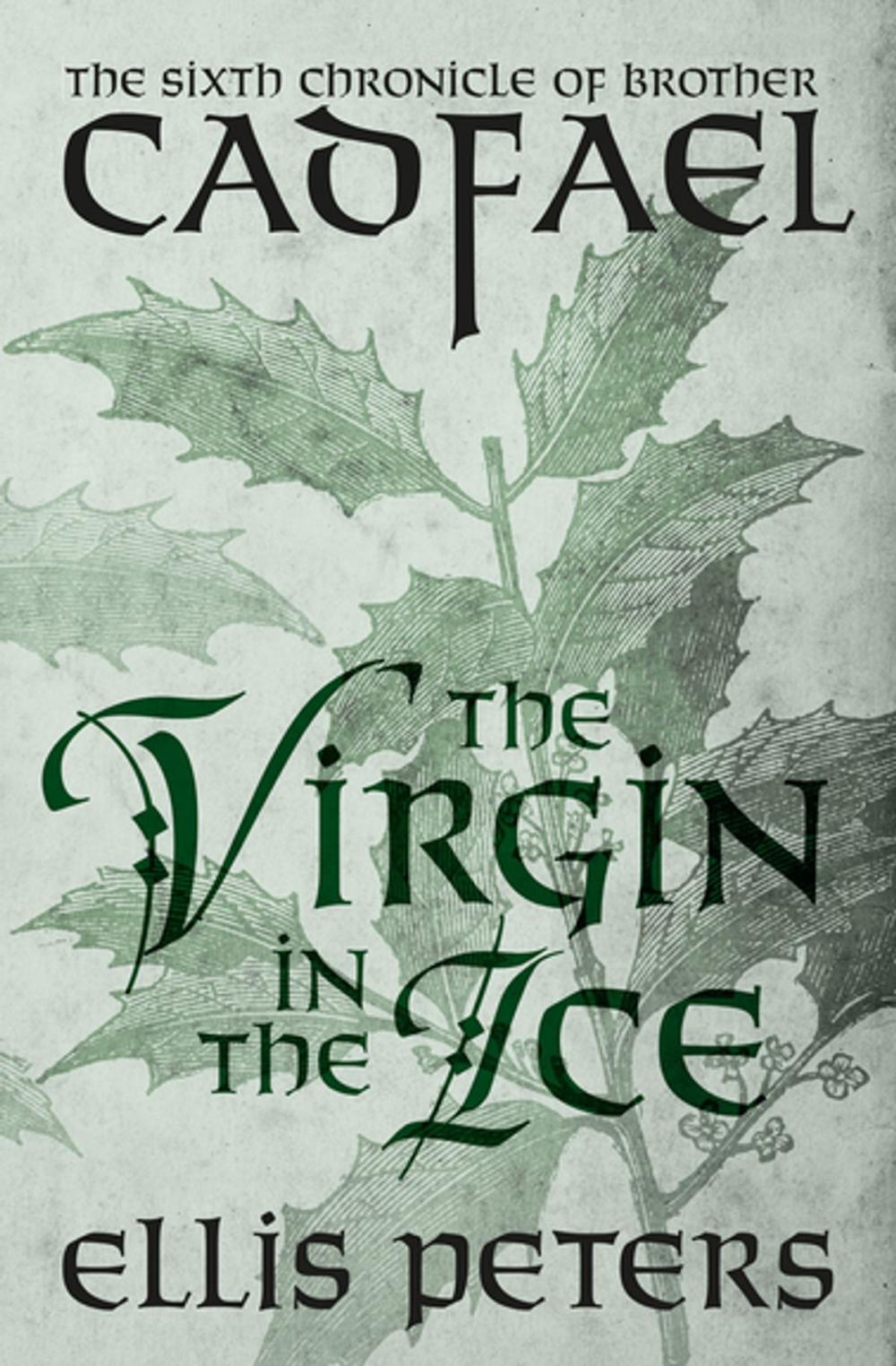 Big bigCover of The Virgin in the Ice