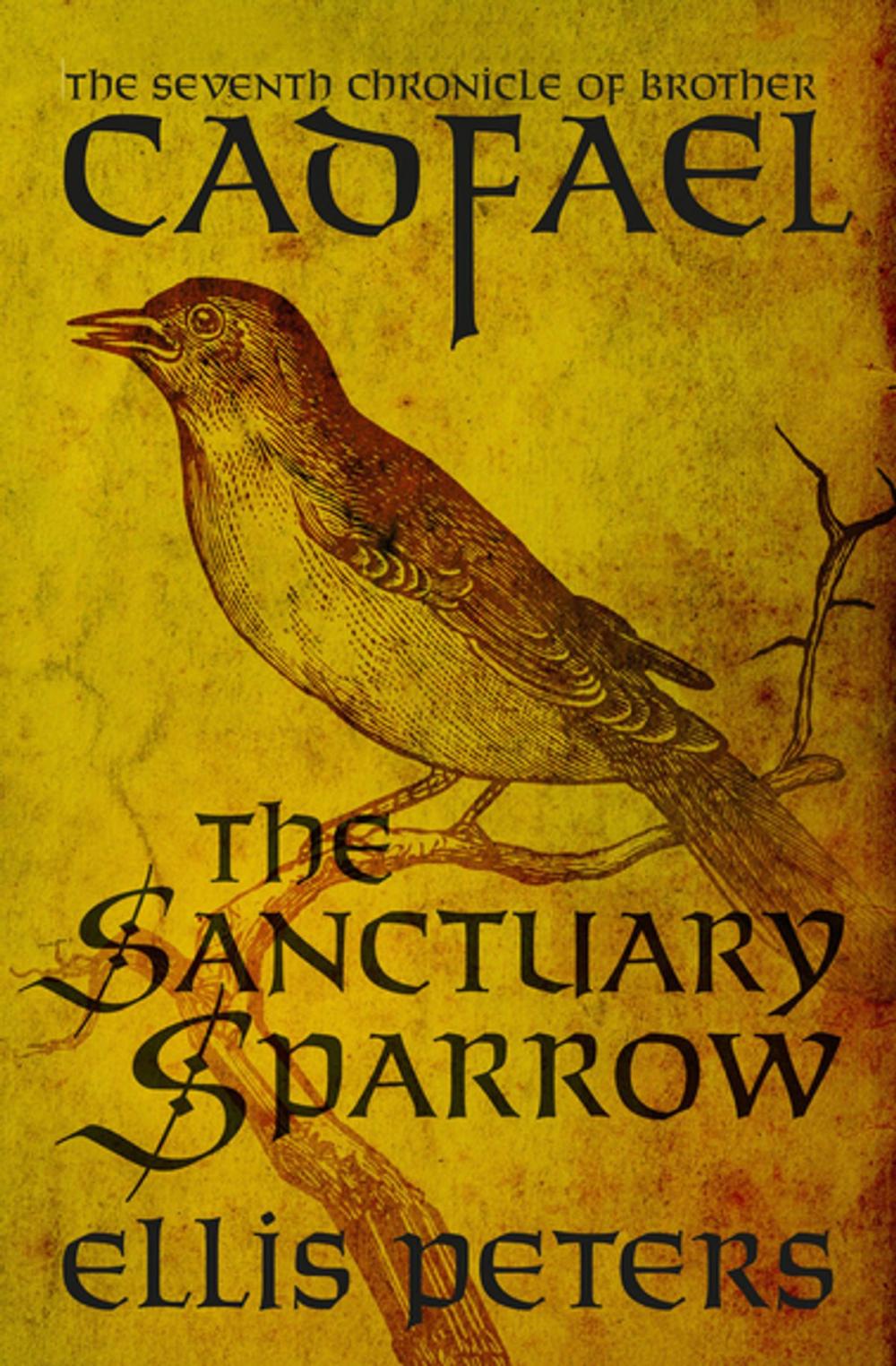 Big bigCover of The Sanctuary Sparrow