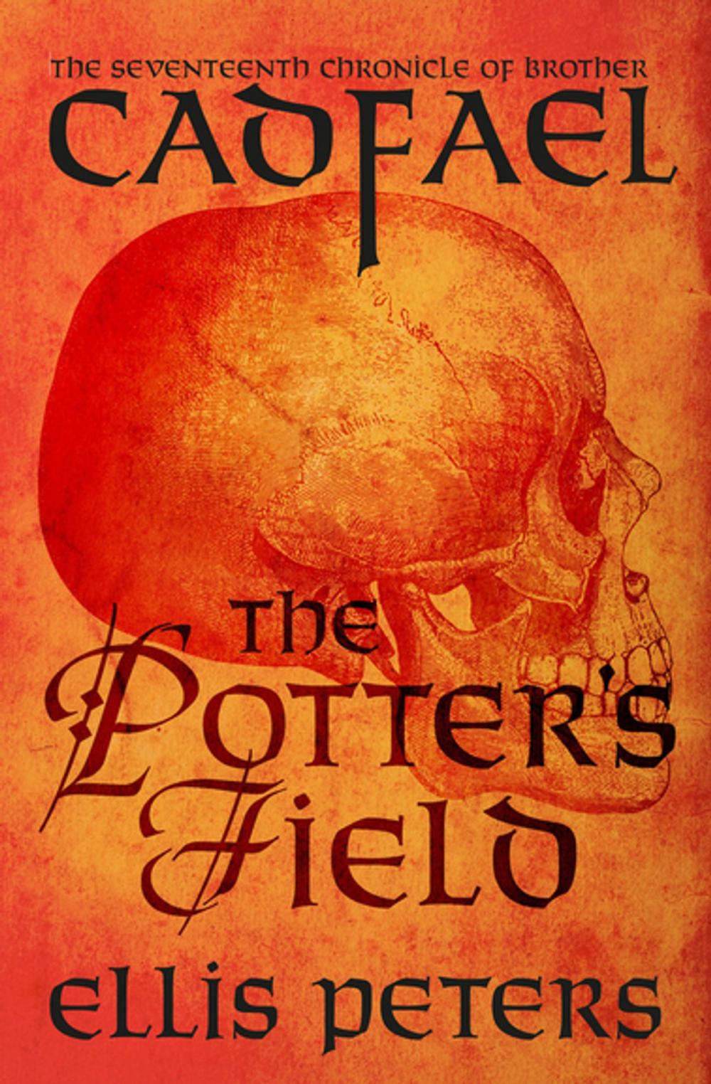 Big bigCover of The Potter's Field