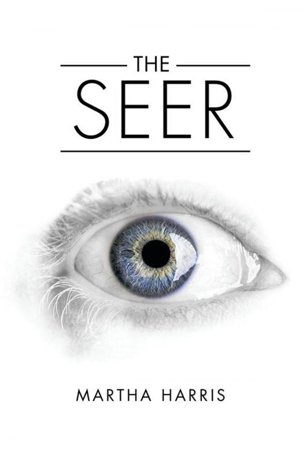 Big bigCover of The Seer