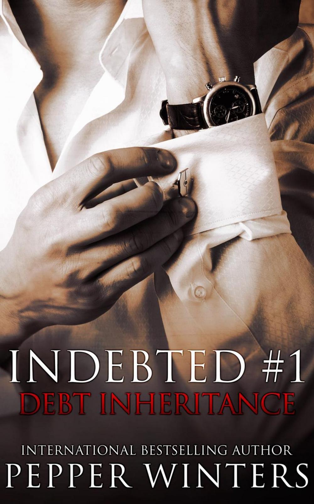 Big bigCover of Debt Inheritance