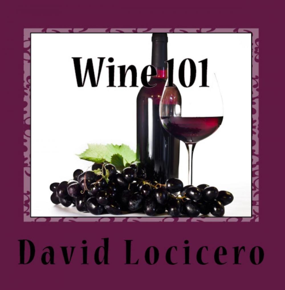 Big bigCover of Wine 101: An Introduction to Wine and Wine Tasting