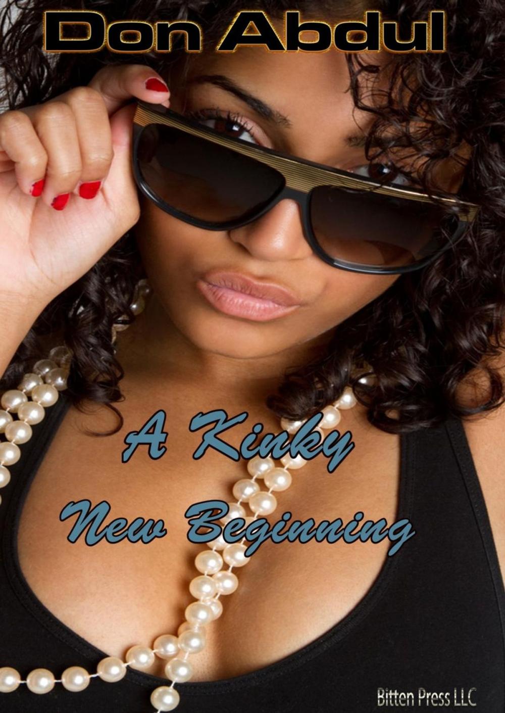 Big bigCover of A Kinky New Beginning