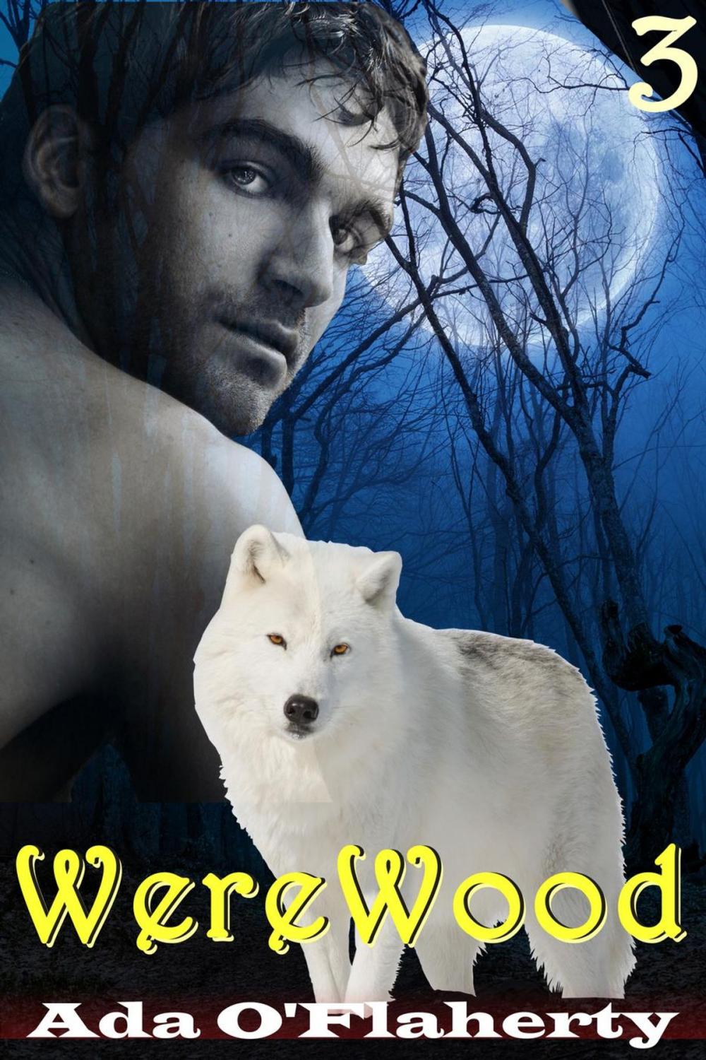 Big bigCover of WereWood 3