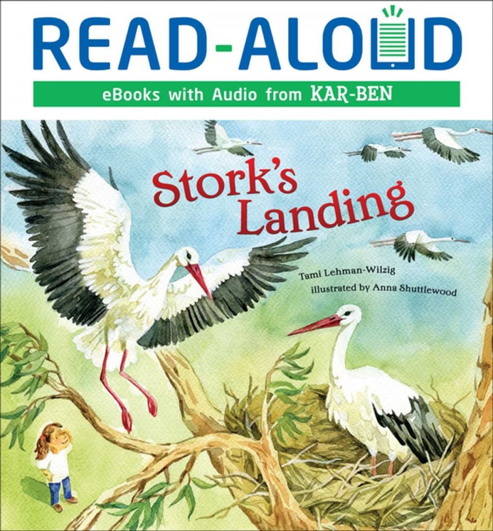 Big bigCover of Stork's Landing