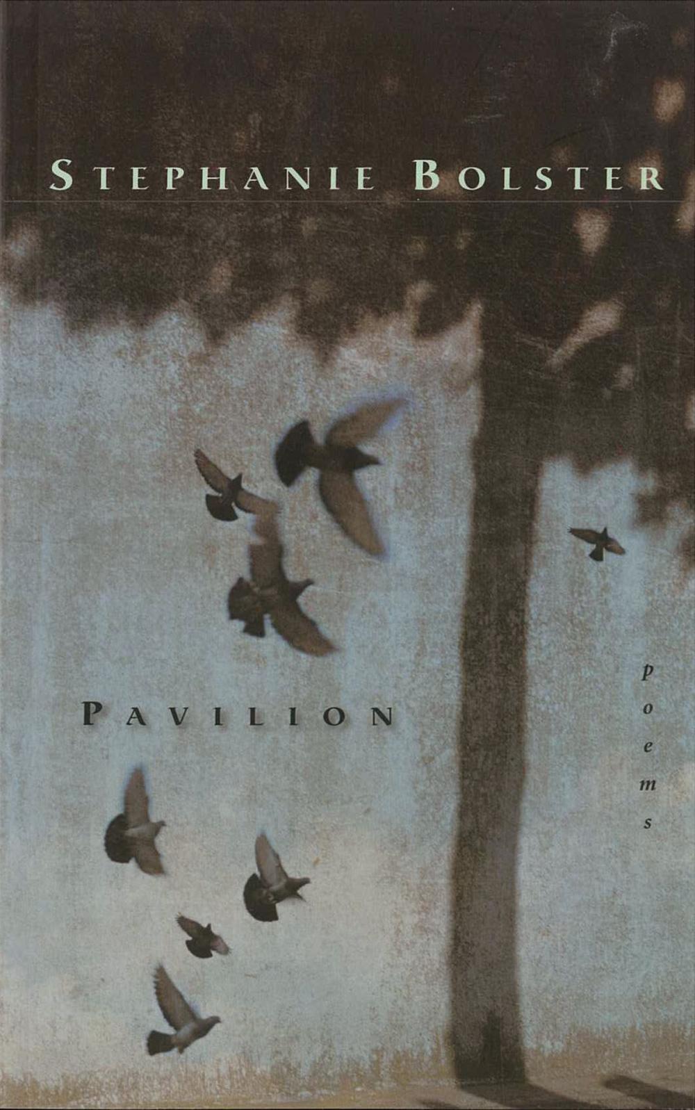 Big bigCover of Pavilion