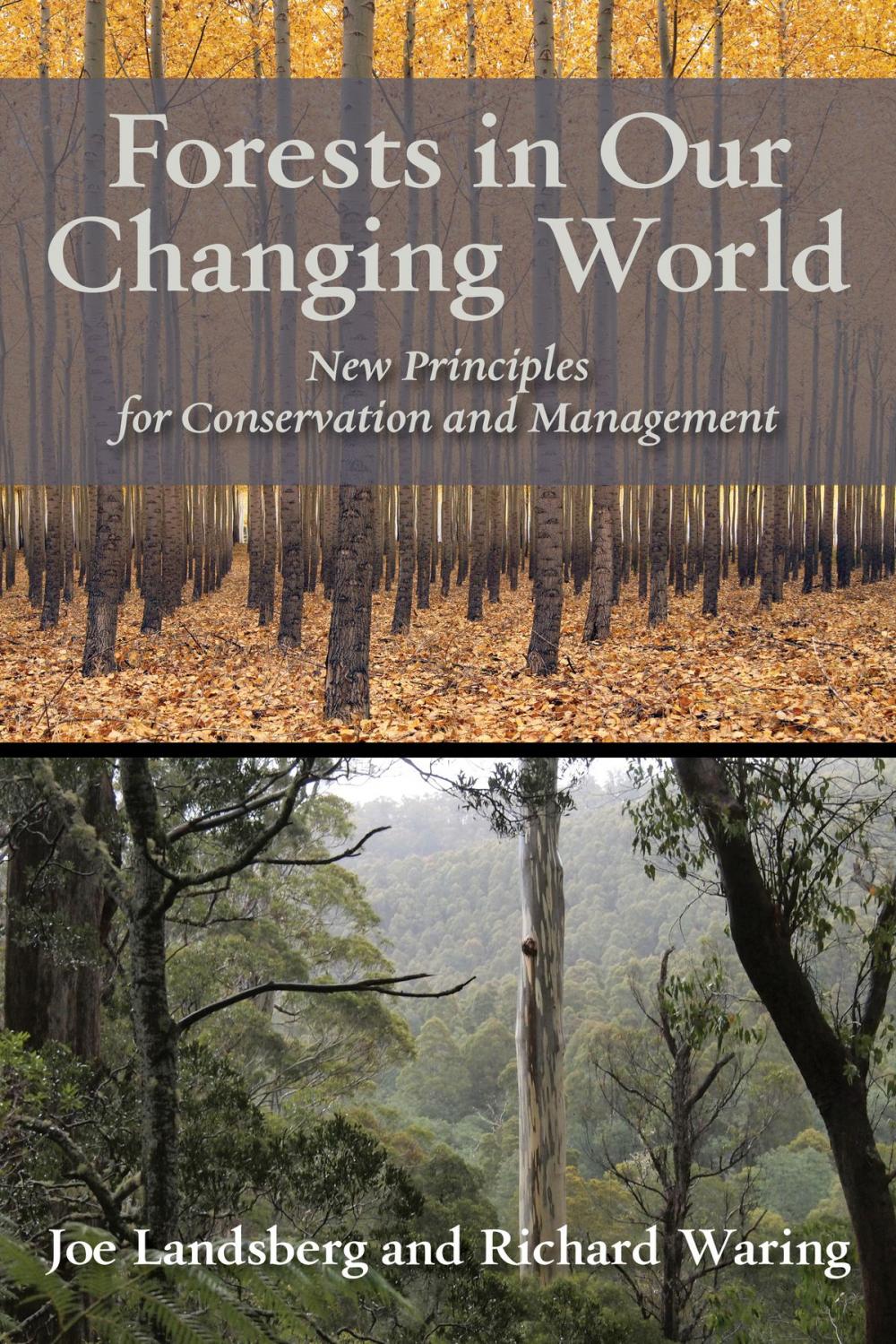 Big bigCover of Forests in Our Changing World