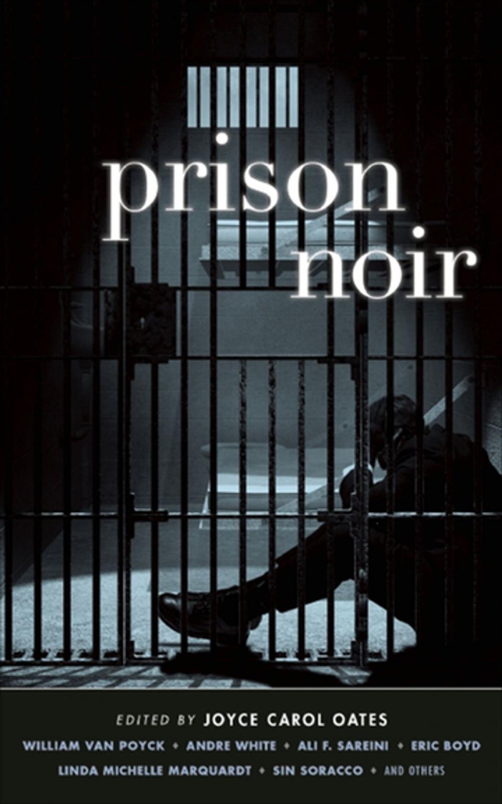 Big bigCover of Prison Noir