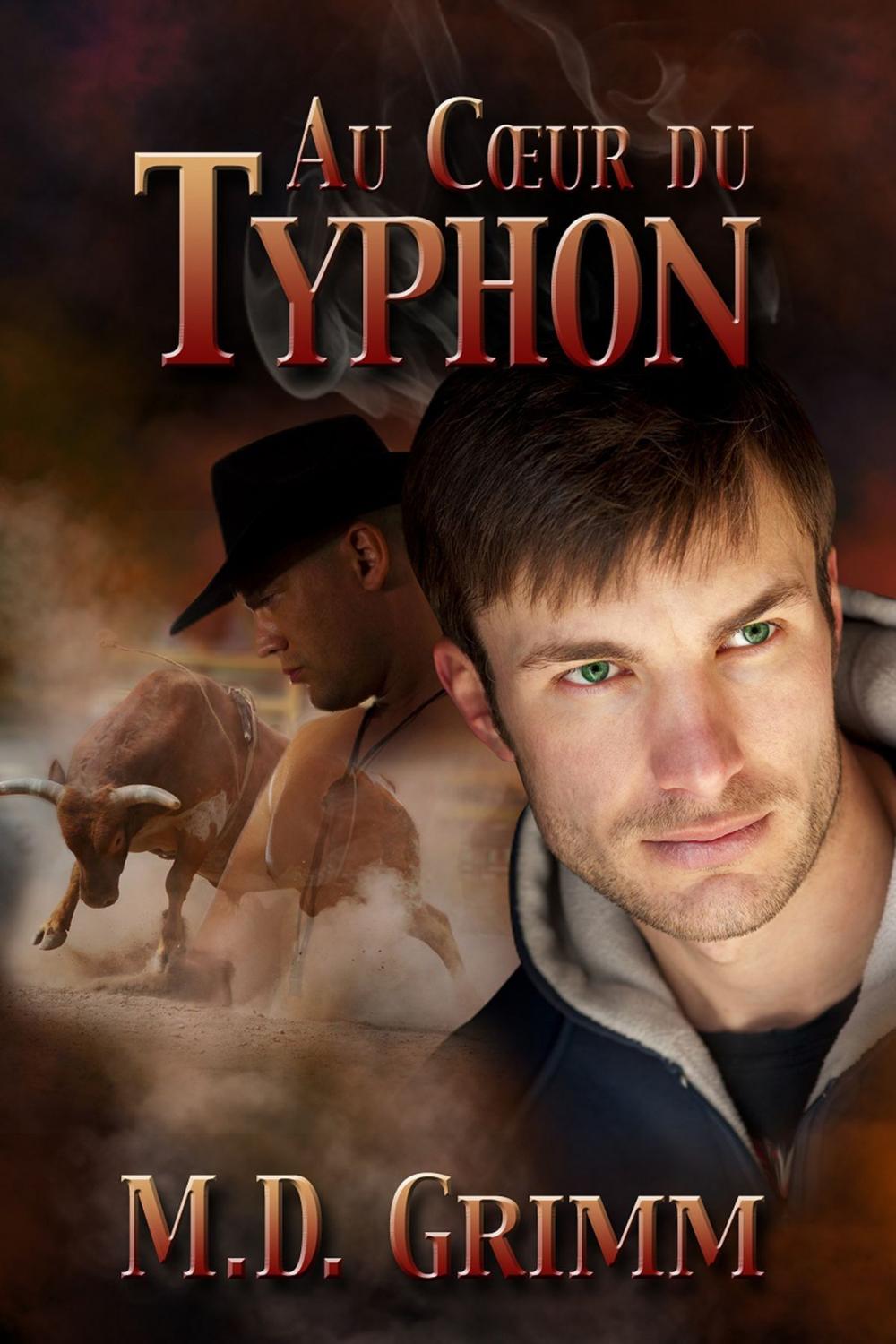 Big bigCover of Au cœur du typhon