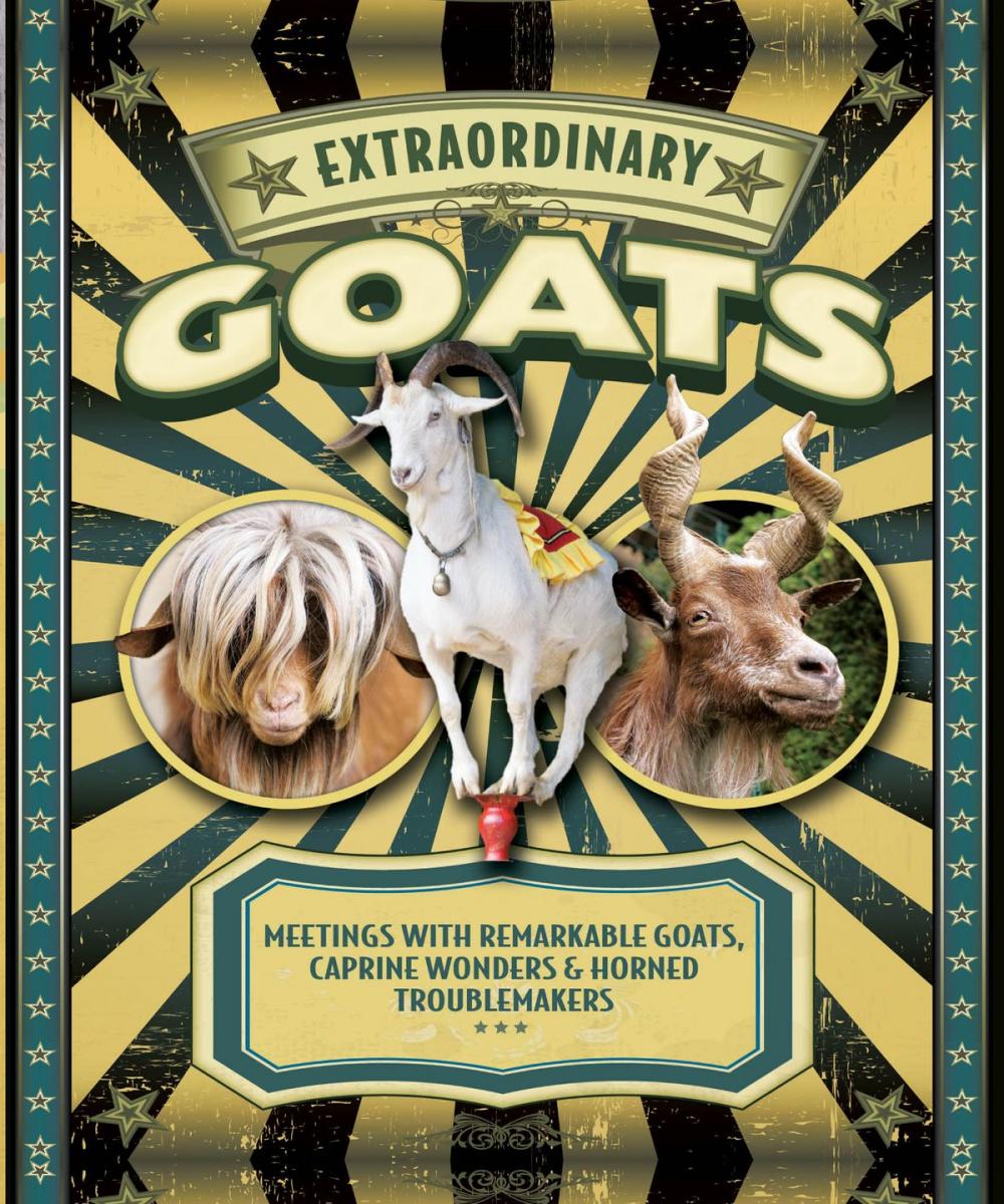 Big bigCover of Extraordinary Goats