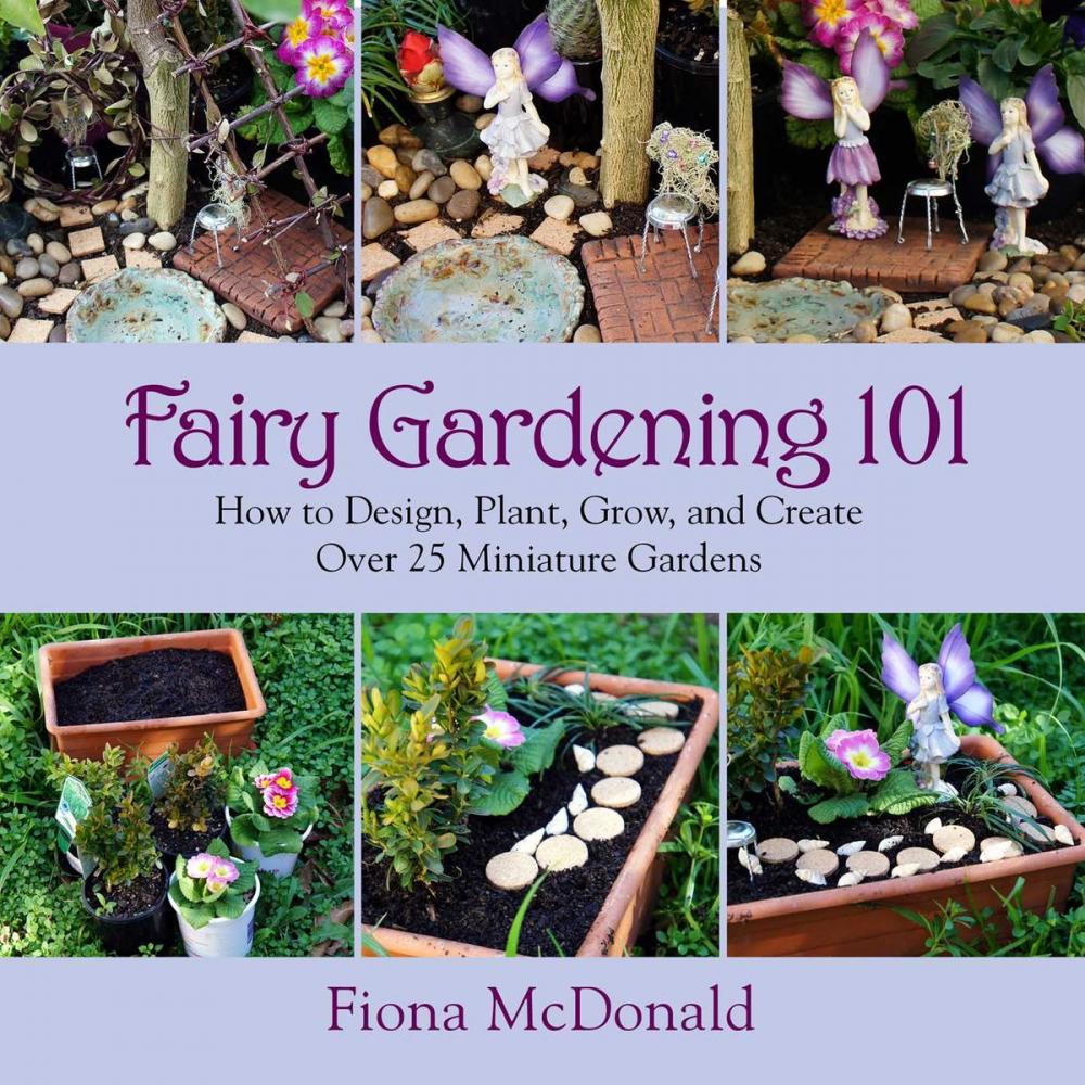 Big bigCover of Fairy Gardening 101