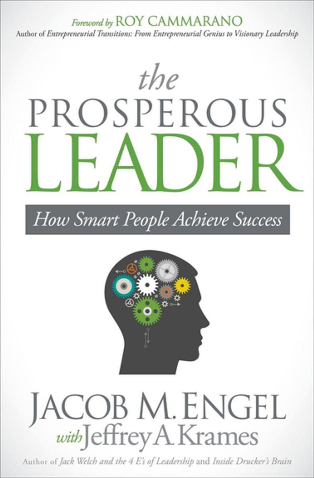 Big bigCover of The Prosperous Leader